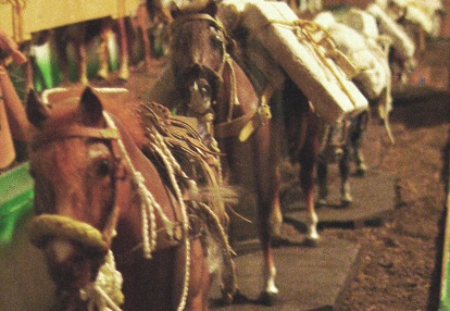 Howard Stewart History Museum Harlowont